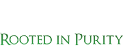 MTERRA