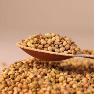 coriander